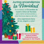 Lee más sobre el artículo Encendemos el Árbol de Navidad