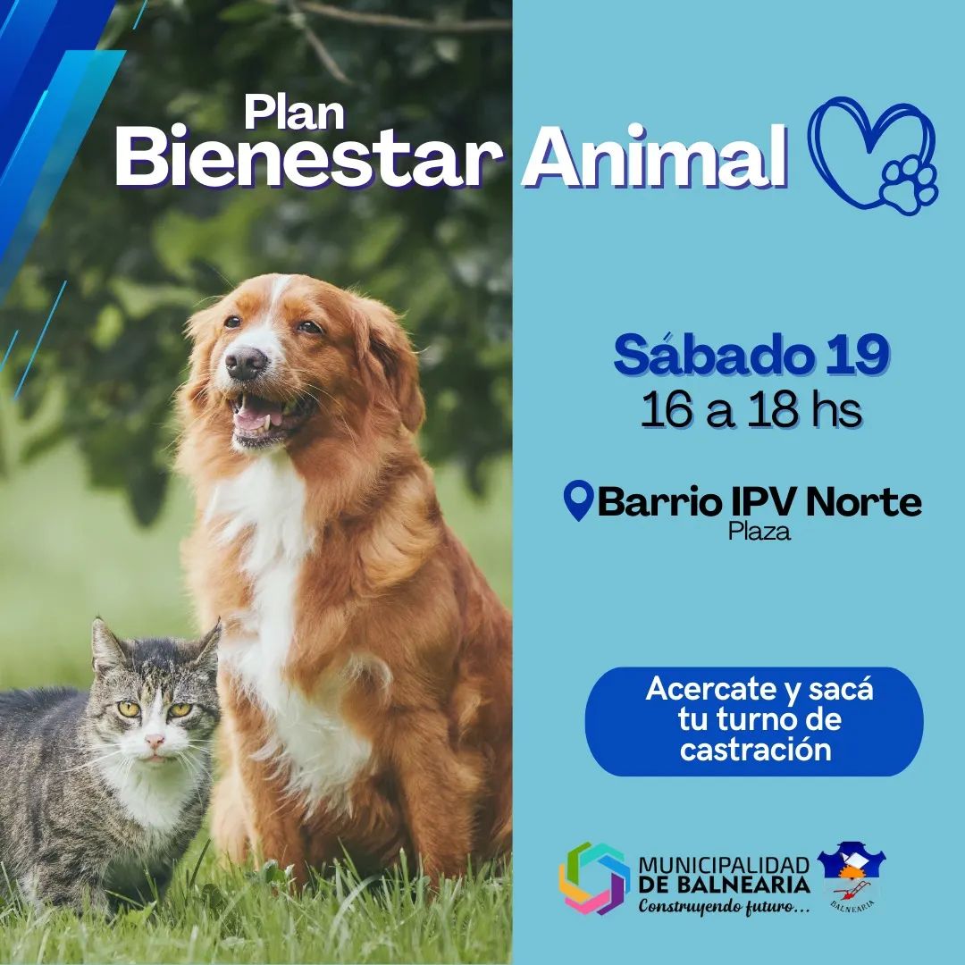 En este momento estás viendo Plan Bienestar Animal