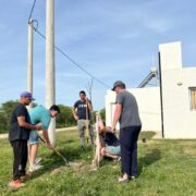 Lee más sobre el artículo Reforestación comunitaria: 75 nuevos árboles