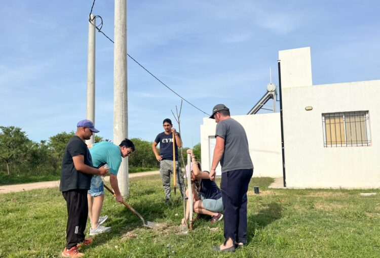 Lee más sobre el artículo Reforestación comunitaria: 75 nuevos árboles