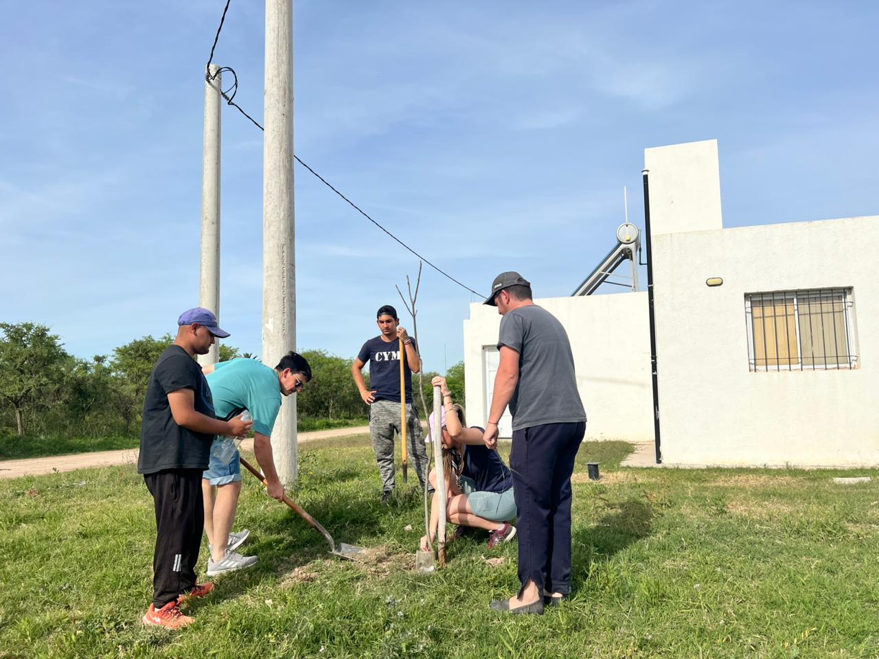 En este momento estás viendo Reforestación comunitaria: 75 nuevos árboles