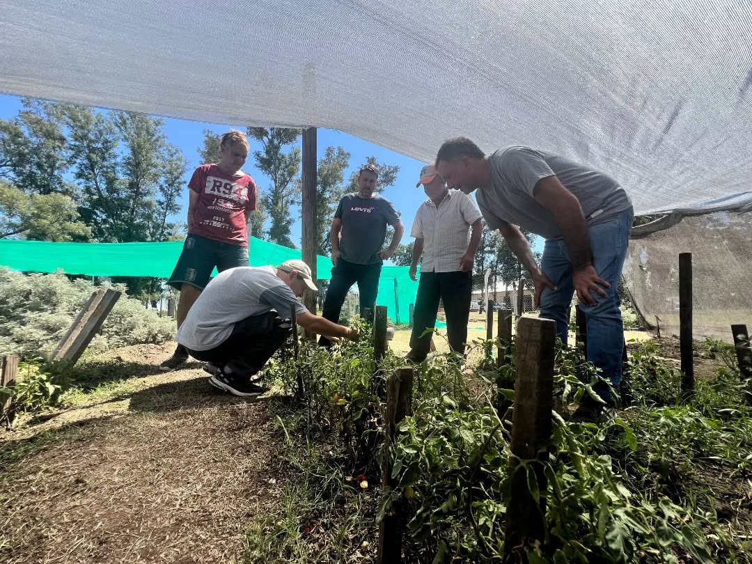 En este momento estás viendo Nuevos proyectos para la sede local de RAAC