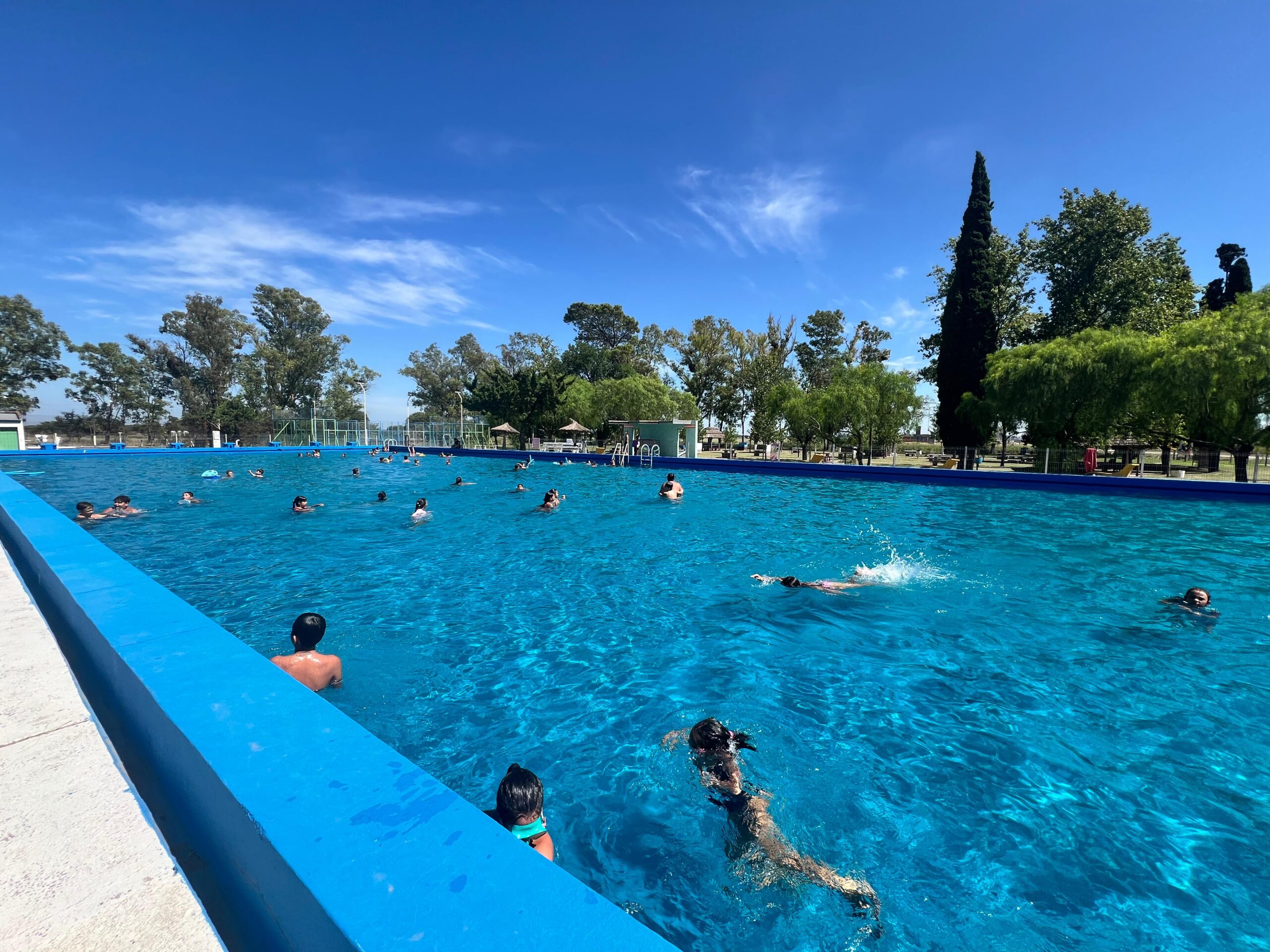 En este momento estás viendo Escuelita de Verano: más de 80 niños participan este año